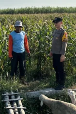 Polres Kediri Perkuat Pendampingan Petani Plemahan